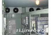 血液冷库